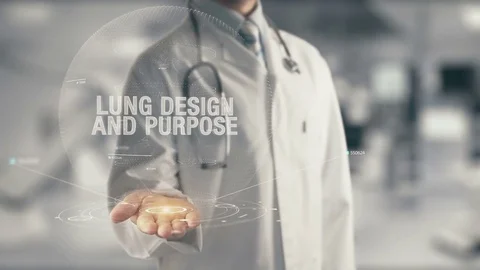Doctor holding in hand Lung Design And Purpose Stock Footage