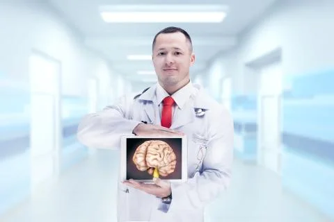 Doctor holding human organs on the tablet . High resolution. 스톡 사진