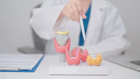 Doctor with human Thyroid anatomy model. Hyperthyroidism, Hypothyroidism, H.. Stock Footage 331493720