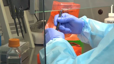 A doctor in the laboratory does a test for coronavirus Stock-Footage 128164780