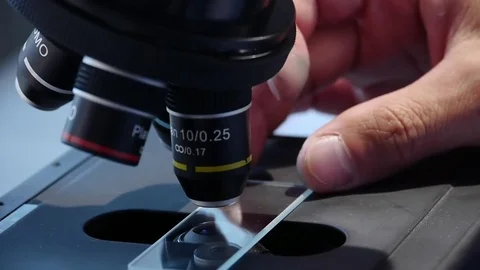 Doctor looking into a microscope and changes the lens Video stock 76950948