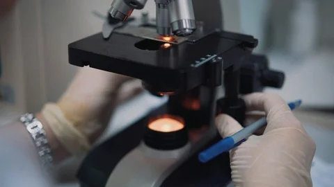 The doctor looks through a microscope Video stock 127534632
