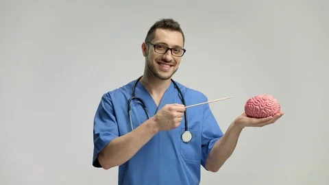 Doctor pointing at a brain model with a stick and smiling Vidéo 77950855
