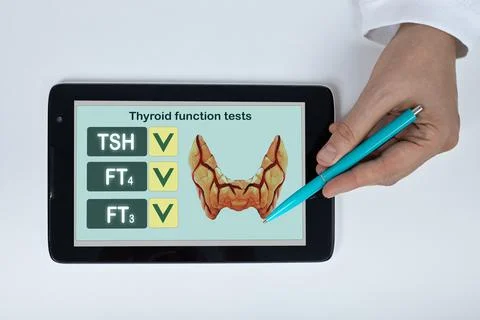 Doctor pointing with a pen at thyroid function test results on a tablet displ Stock Photos