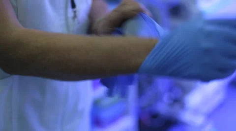 Doctor puts gloves Stock Footage 41755026