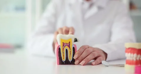 Doctor shows artificial tooth model and toothbrush for caries prevention Stock Footage 250166208