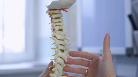 Doctor shows the problem areas on the model of the spine to Female patient. Stock Footage 128537730