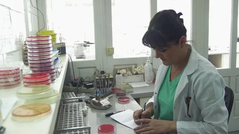 Doctor specialist close up analyzing samples at laboratory by Pakito. Stock Footage 74796485