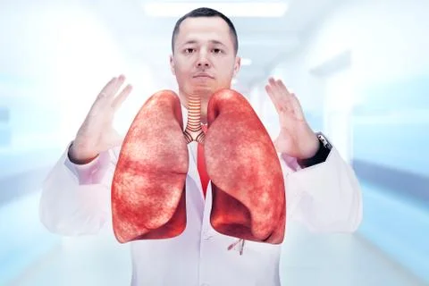 Doctor with stethoscope and lungs on the hands. gray background. High resolut Stock Photos