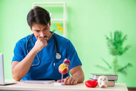Doctor student explaining heart problems Foto stock