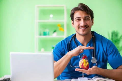 Doctor student explaining heart problems 스톡 사진