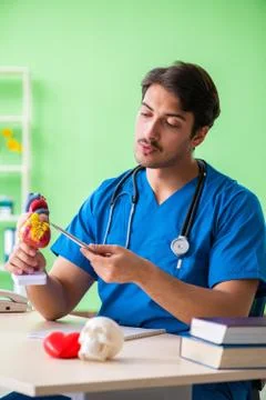 Doctor student explaining heart problems Stock Photos