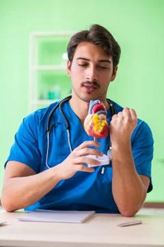 Doctor student explaining heart problems Stock Photos