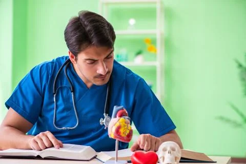 Doctor student explaining heart problems Foto stock