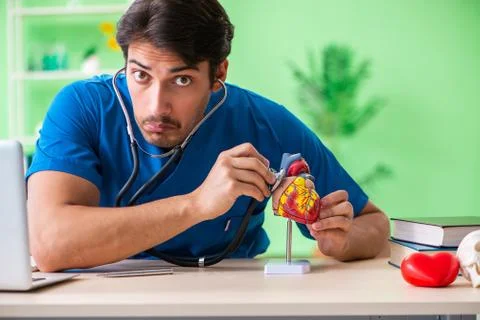 Doctor student explaining heart problems Stock Photos