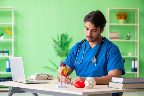 Doctor student explaining heart problems Stock Photos