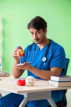 Doctor student explaining heart problems Stock Photos