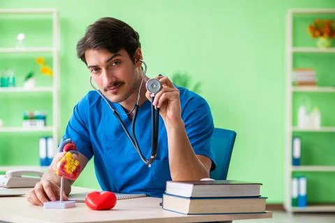 Doctor student explaining heart problems 스톡 사진