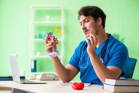Doctor student explaining heart problems Stock Photos