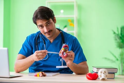 Doctor student explaining heart problems Stock Photos