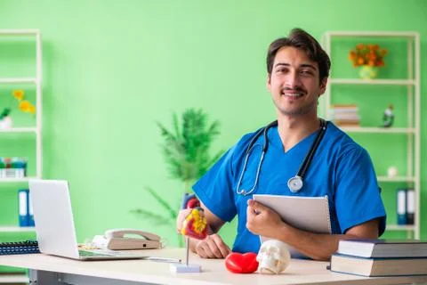 Doctor student explaining heart problems 스톡 사진