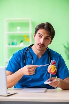 Doctor student explaining heart problems Stock Photos