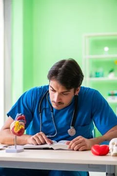 Doctor student explaining heart problems 스톡 사진