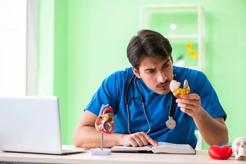 Doctor student explaining heart problems Stock Photos