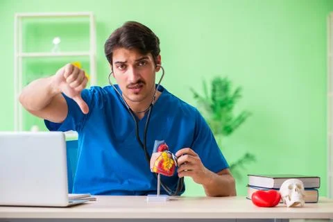 Doctor student explaining heart problems Stock Photos