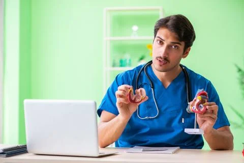 Doctor student explaining heart problems 스톡 사진