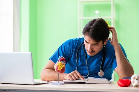 Doctor student explaining heart problems Stock Photos