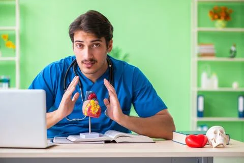 Doctor student explaining heart problems 스톡 사진