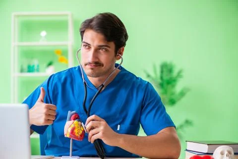 Doctor student explaining heart problems 스톡 사진