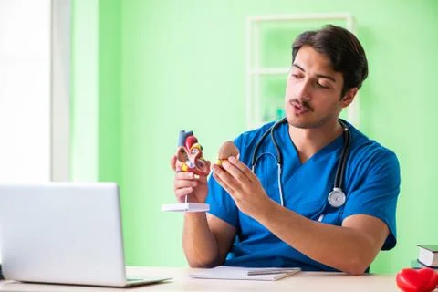 Doctor student explaining heart problems Stock Photos
