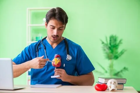 Doctor student explaining heart problems Stock Photos
