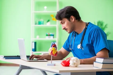 Doctor student explaining heart problems 스톡 사진