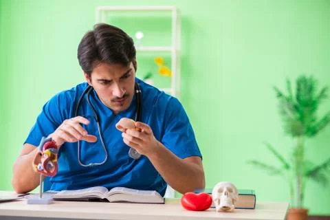 Doctor student explaining heart problems Foto stock