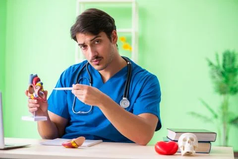 Doctor student explaining heart problems Foto stock