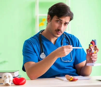 Doctor student explaining heart problems Foto stock
