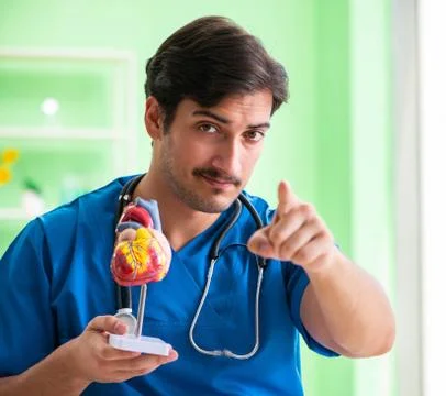 Doctor student explaining heart problems Stock Photos