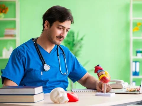 Doctor student explaining heart problems Stock Photos