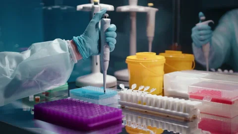Doctor taking samples from yellow bucket and putting them in PCR tubes. Stock Footage 236578825