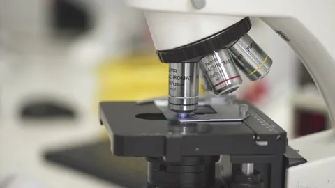 Doctor turns the lens on the microscope Stock Footage 166319304