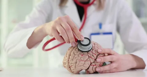 Doctor uses stethoscope on brain model Stock Footage 275489755