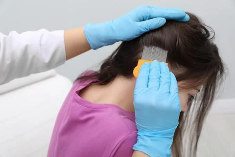 Doctor using nit comb on little girl's hair indoors. Anti lice treatment Stock Photos