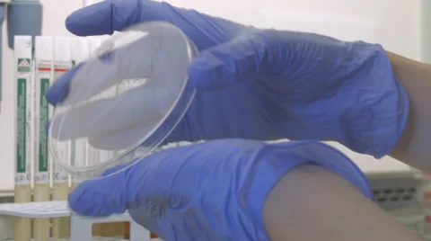 Doctor work with tubes Vidéo 52031080