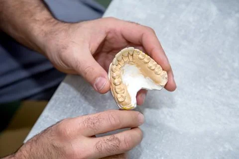 Doctor working with a layout of teeth Stock Photos