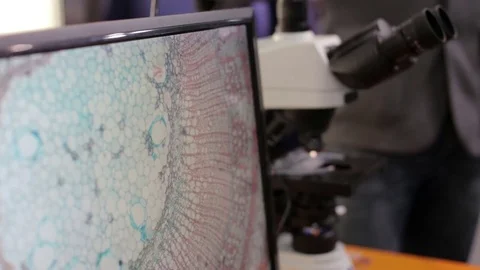 Doctor Works with a Microscope Stock Footage 73614229