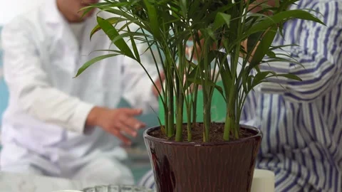 Doctors and patients bribe Stock Footage 154533223