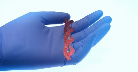 Doctors hand interacting with a 3D digital hologram of DNA. research in new tech Stock Footage 106166605